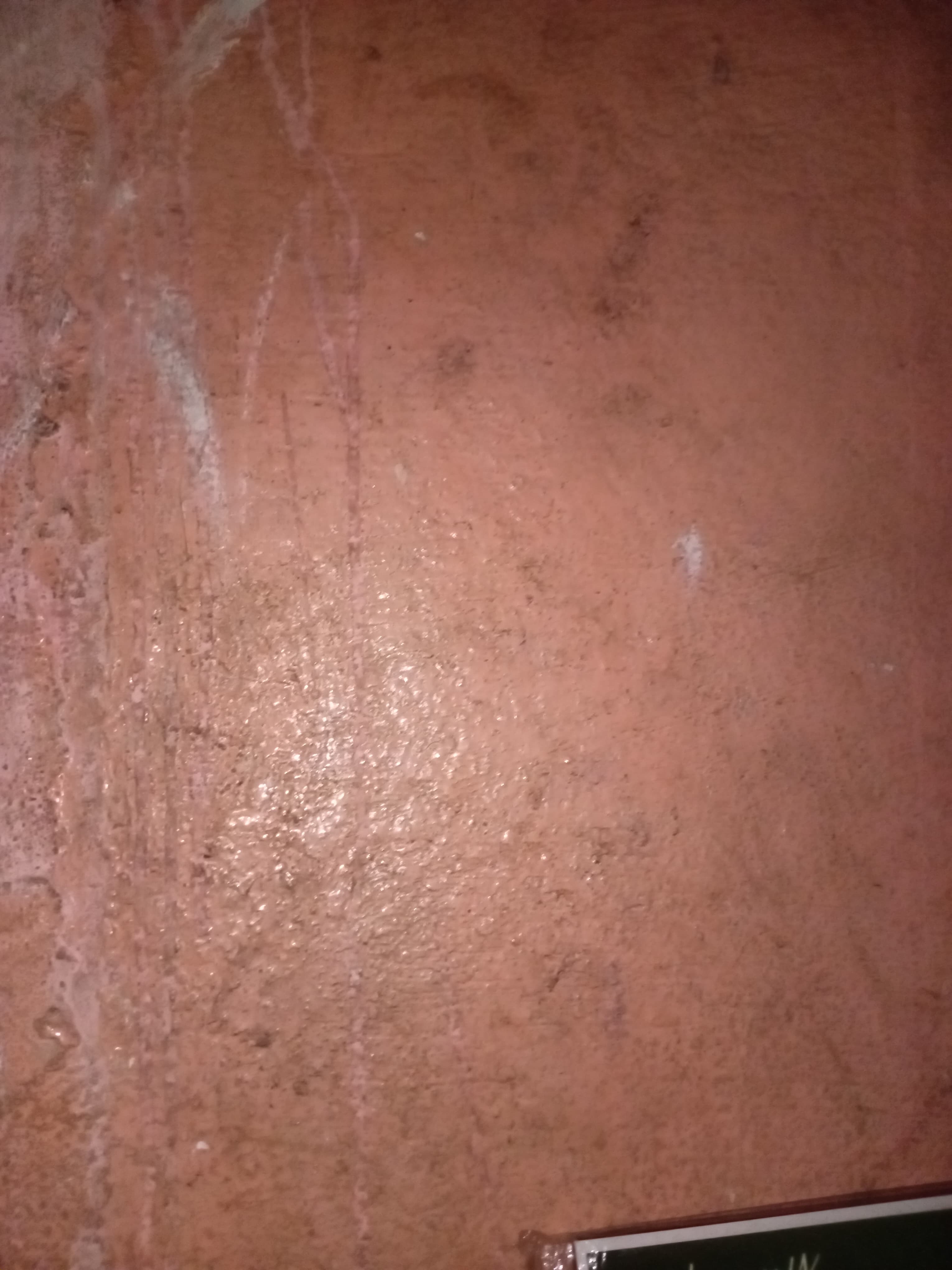 TRACY BABY WORKQ — photo 1